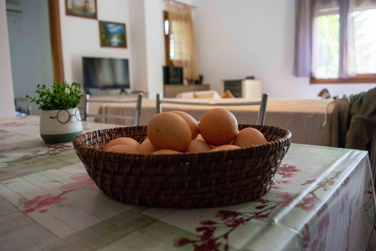 Efi'S Guest House เอยอส ดิมิตริออส ภายนอก รูปภาพ