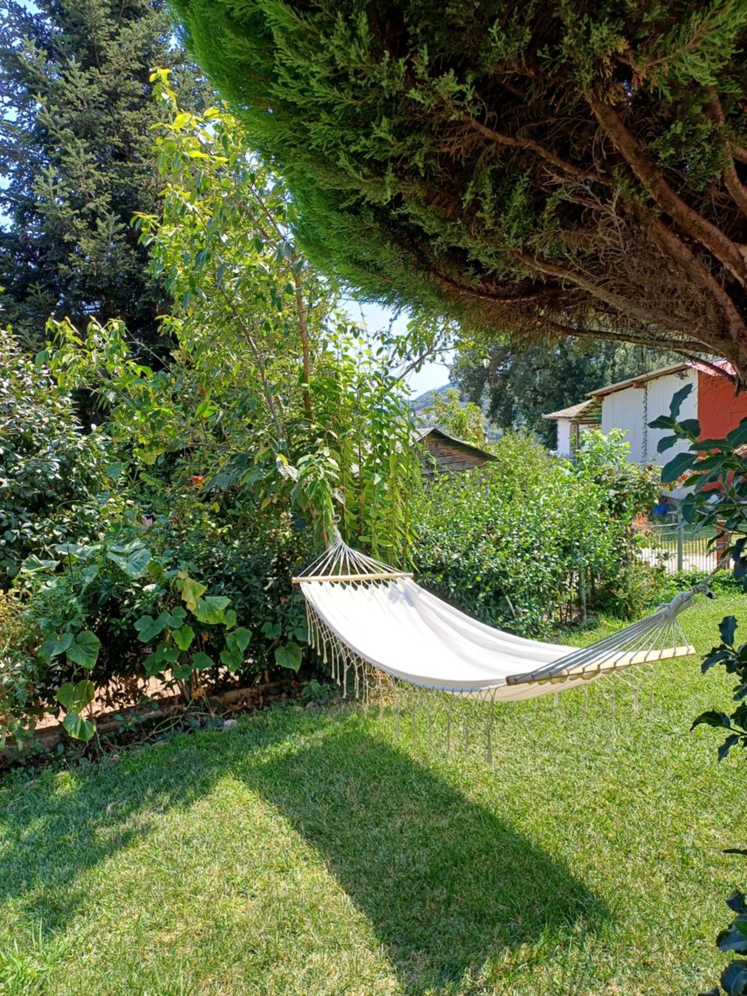 Efi'S Guest House เอยอส ดิมิตริออส ภายนอก รูปภาพ